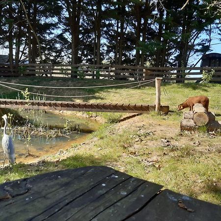 Tente Trappeur Ada, Au Jardin De La Vouivre Saint-Vincent-en-Bresse Buitenkant foto