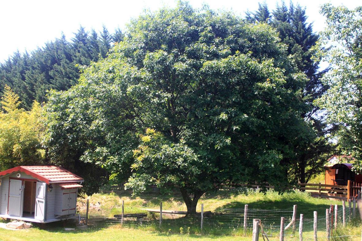 Tente Trappeur Ada, Au Jardin De La Vouivre Saint-Vincent-en-Bresse Buitenkant foto