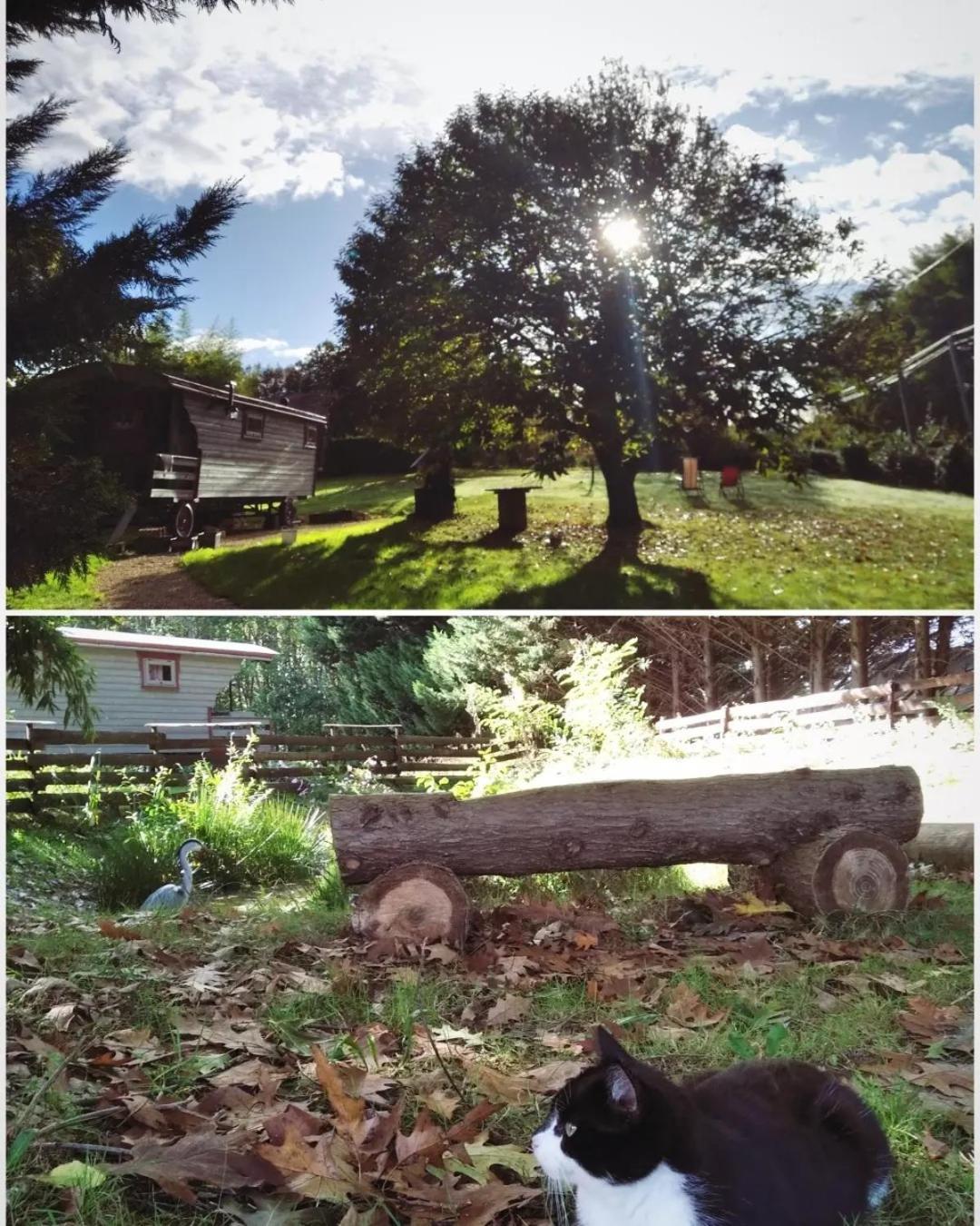 Tente Trappeur Ada, Au Jardin De La Vouivre Saint-Vincent-en-Bresse Buitenkant foto