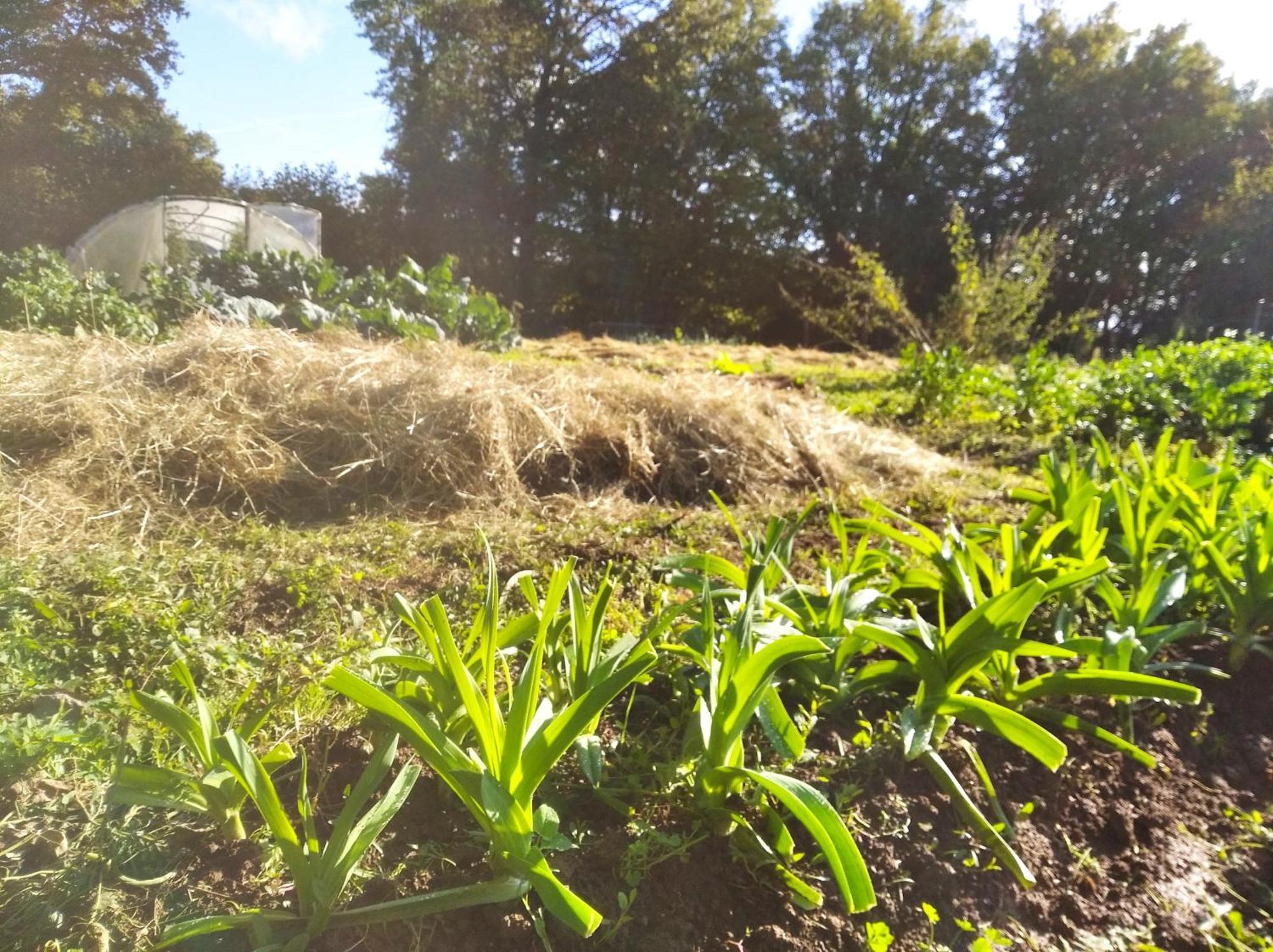 Tente Trappeur Ada, Au Jardin De La Vouivre Saint-Vincent-en-Bresse Buitenkant foto