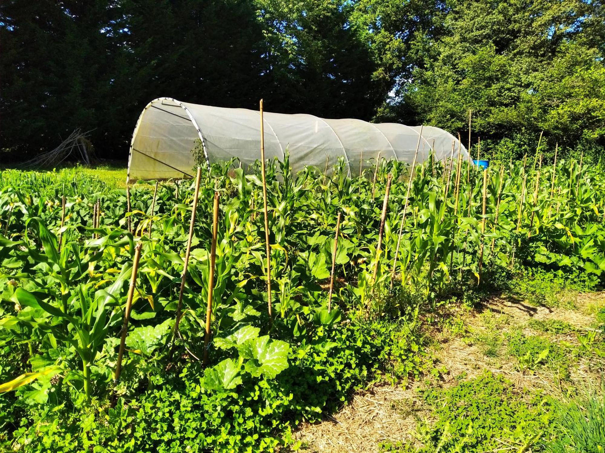 Tente Trappeur Ada, Au Jardin De La Vouivre Saint-Vincent-en-Bresse Buitenkant foto