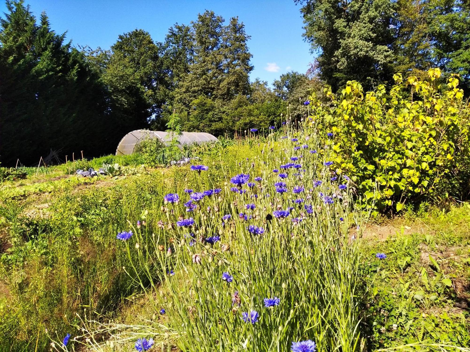 Tente Trappeur Ada, Au Jardin De La Vouivre Saint-Vincent-en-Bresse Buitenkant foto