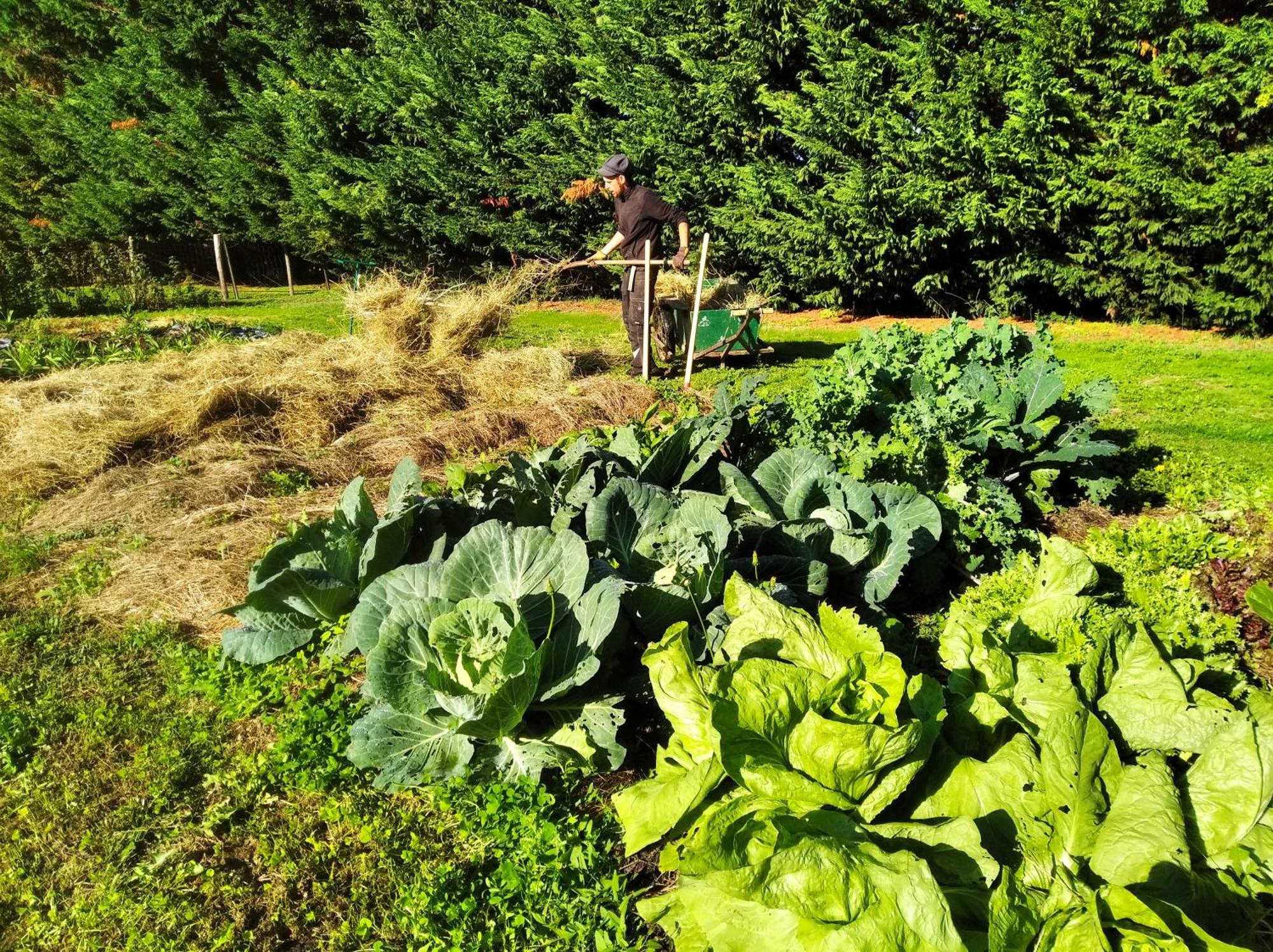 Tente Trappeur Ada, Au Jardin De La Vouivre Saint-Vincent-en-Bresse Buitenkant foto