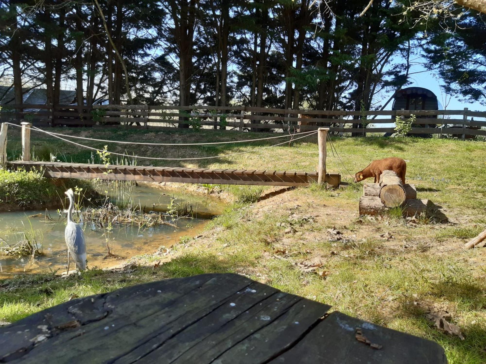 Tente Trappeur Ada, Au Jardin De La Vouivre Saint-Vincent-en-Bresse Buitenkant foto