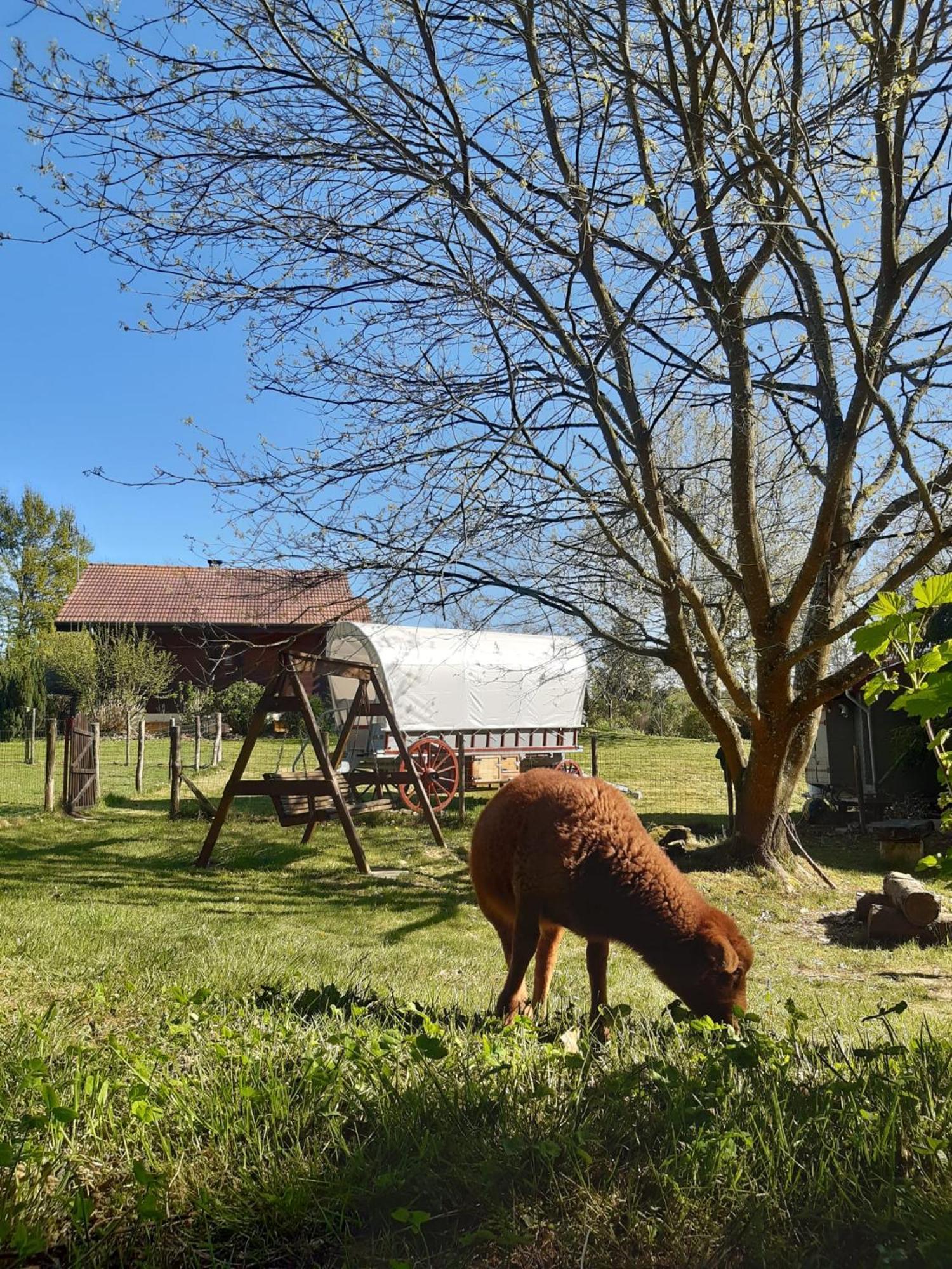 Tente Trappeur Ada, Au Jardin De La Vouivre Saint-Vincent-en-Bresse Buitenkant foto